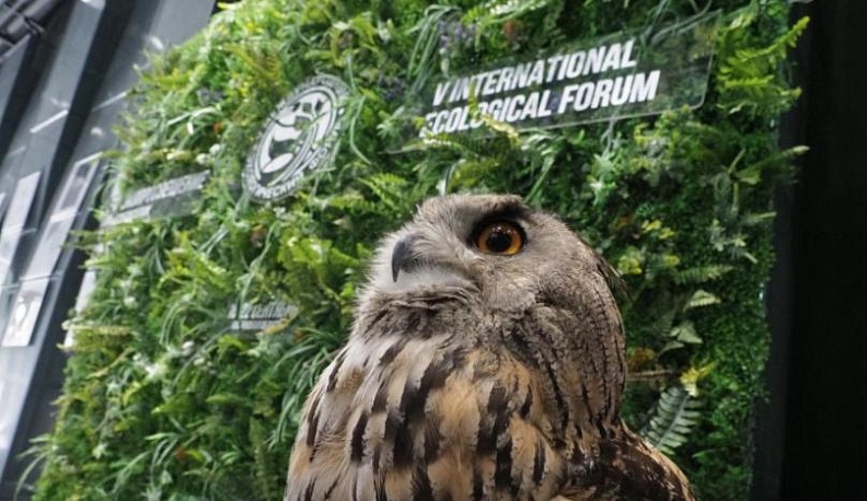 Экопросвещение станет основной темой форума, проходящего в Калуге