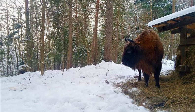 Нацпарк «Угра» приглашает калужан на экскурсию