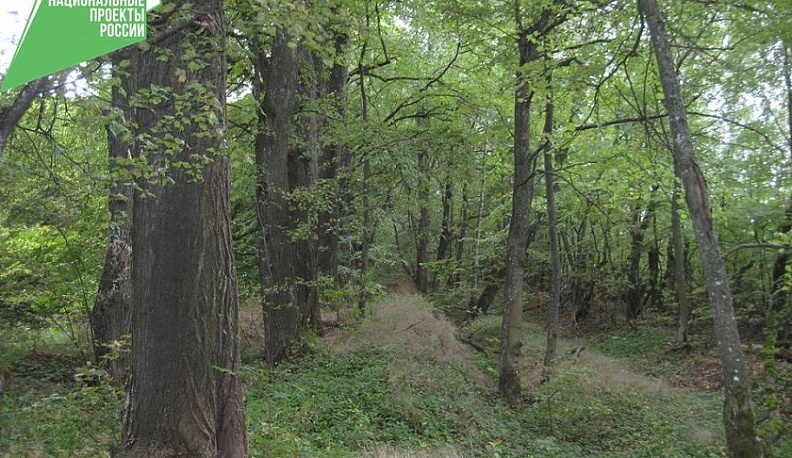 В Козельском районе утвердили границы старинного парка