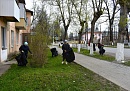 Кировчане вышли на Всероссийский субботник