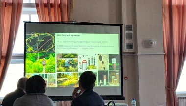 Новая жизнь Корсаковской рощи: в Сухиничах представили масштабный проект благоустройства