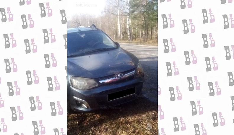 В Калужской области отечественный автомобиль съехал в кювет