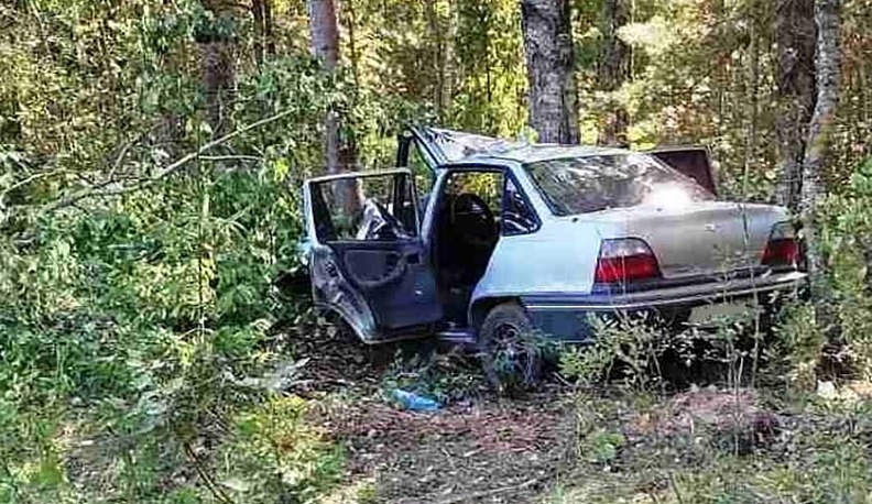 Под Кировом погиб водитель влетевшей в дерево иномарки