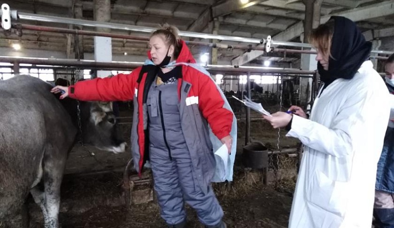 В Калужской области прошло обучение специалистов по племенному животноводству