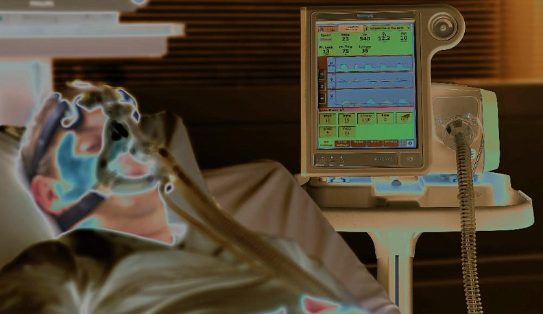 Из бордово-пенного сумрака