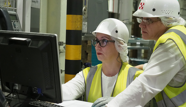 Наше собачье дело