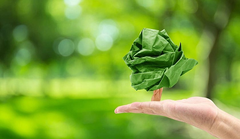 10 сентября в Калужской области стартует экологический марафон