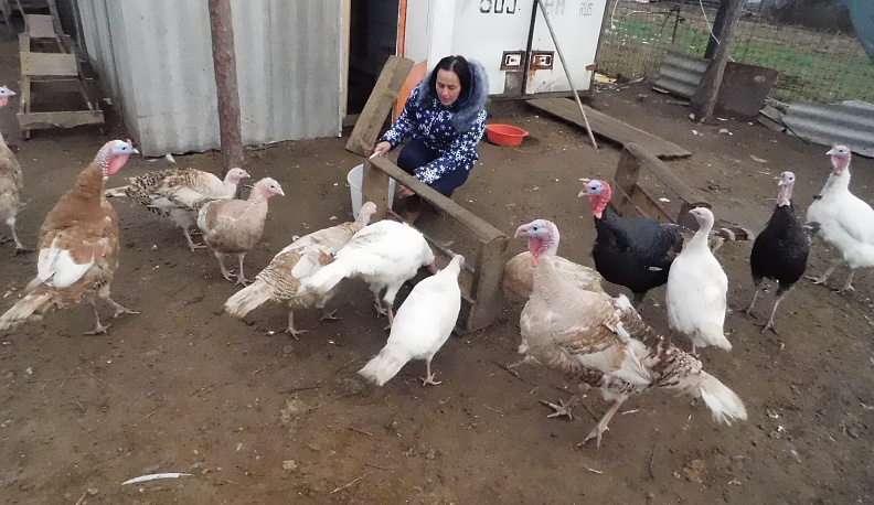 «Удочки» для народа