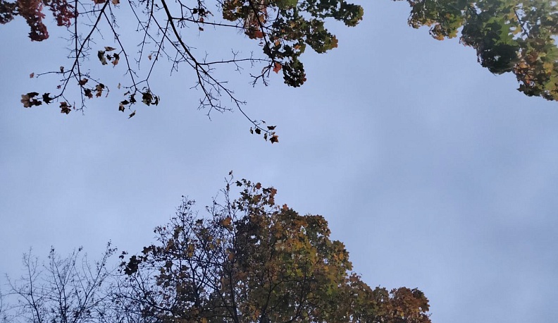 Погода в Калуге сохраняется холодной