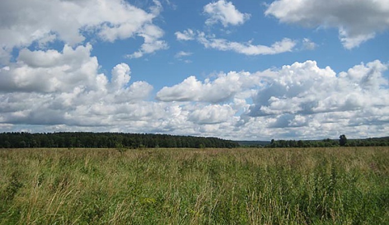 Тарусский луг стал памятником природы регионального значения