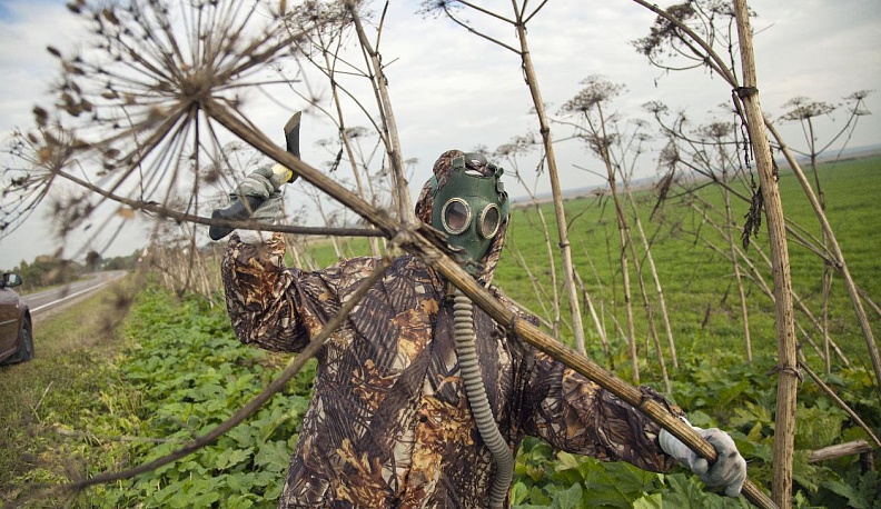 Вооружён и очень опасен