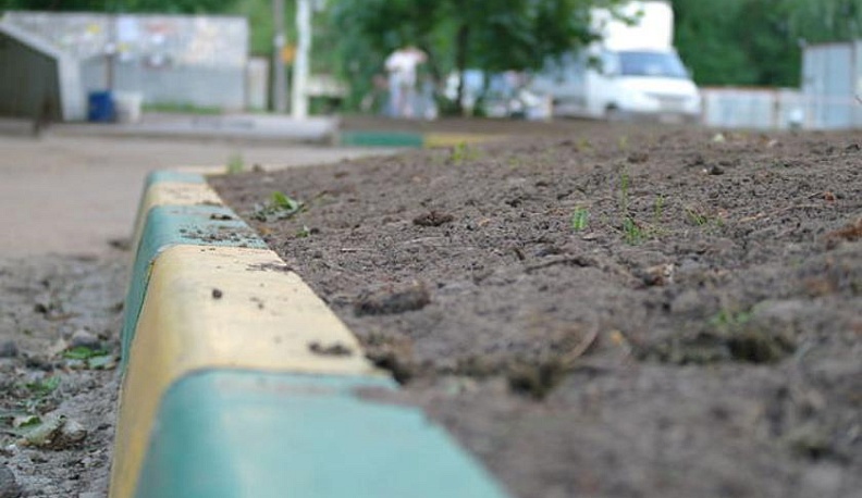 Губернатор считает газоны вдоль дорог ненужными