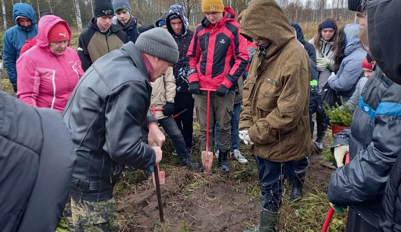 В Юхновском лесничестве высадили более двух тысяч деревьев