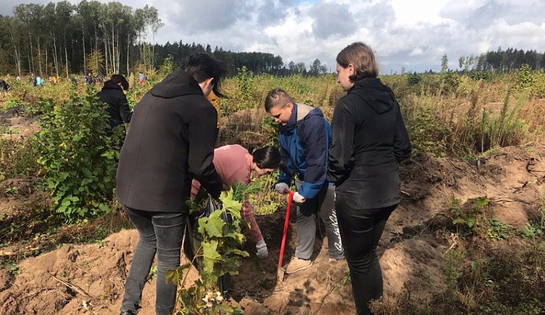 Порядка 170 тысяч деревьев высадят волонтеры Калужской области примут в рамках Всероссийских акций