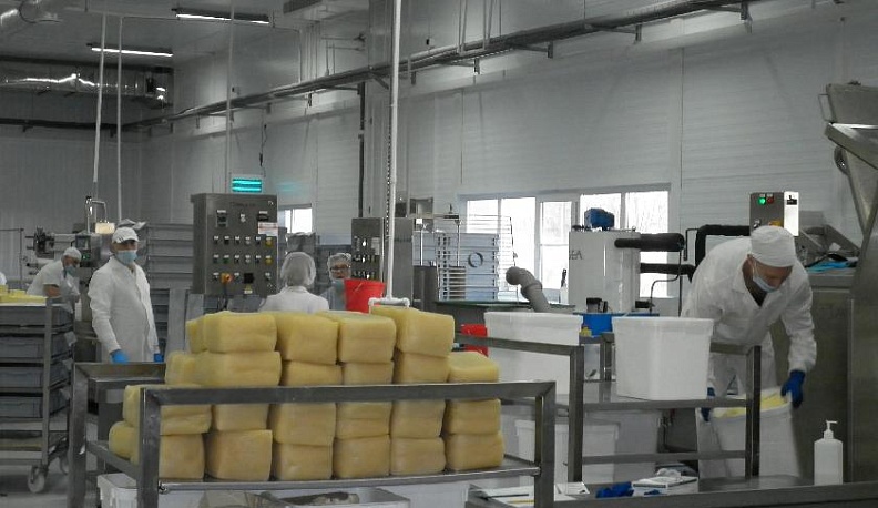 Дольче формаджо*