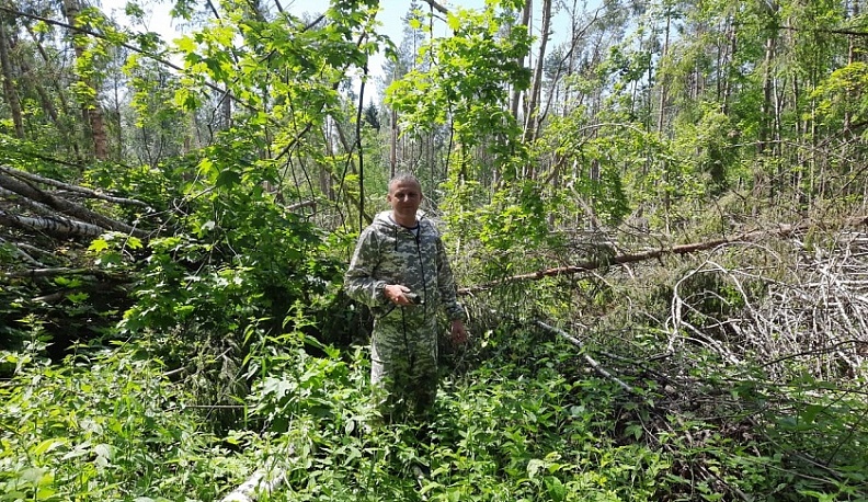 На территории памятника природы в Хвастовичском районе вырубят поврежденные деревья