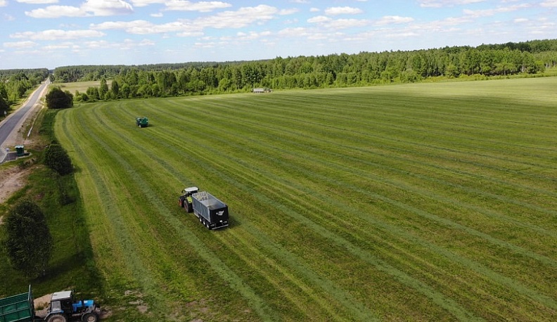 В Калужской области идет заготовка кормов