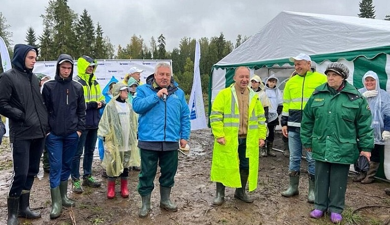 В Людиновском районе высадили 6,5 тысяч молодых елей
