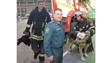 Трое с Багром