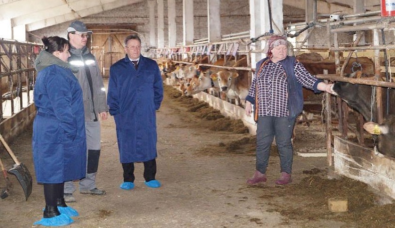 Молоко и древесина – продукция на все времена