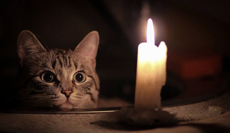 На центральных  улицах Калуги отключат электричество