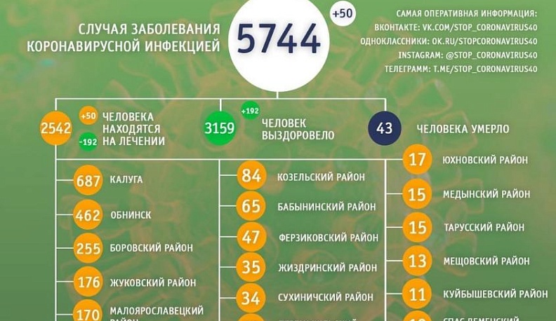В Калужской области от коронавируса излечилось еще 192 пациента