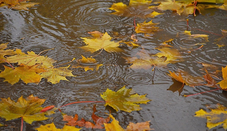 На Калугу надвигаются осенние дожди и первый снег
