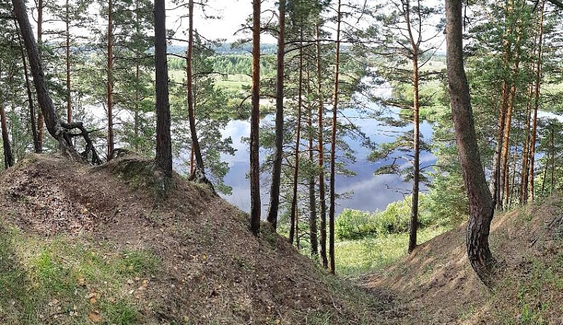 Территория экологии