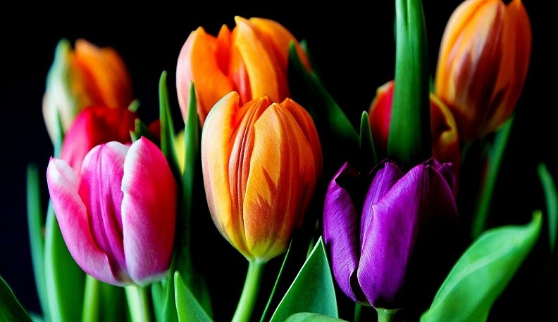 ТОП-5 универсальных подарков на 8 Марта, которые приятно дарить и получать