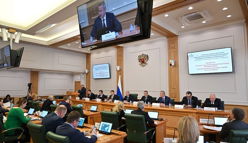 Владислав Шапша подвел итоги расширенных заседаний комитетов Совета Федерации