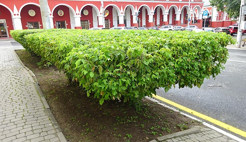 Не откажите себе в красоте