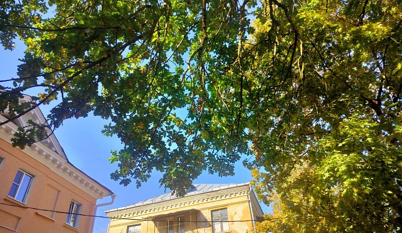 Последний день сентября в Калуге будет солнечным, но холодным