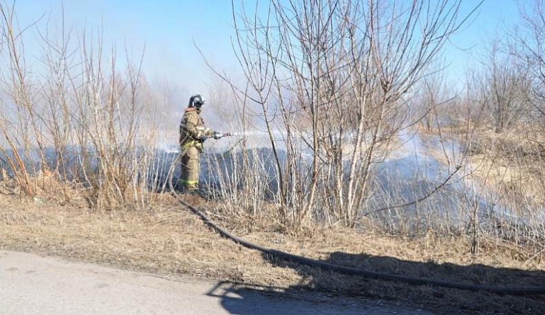 Калужские пожарные 20 раз выезжали на пал травы с начала года