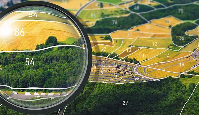 Более половины калужских лесов поставлены на кадастровый учет