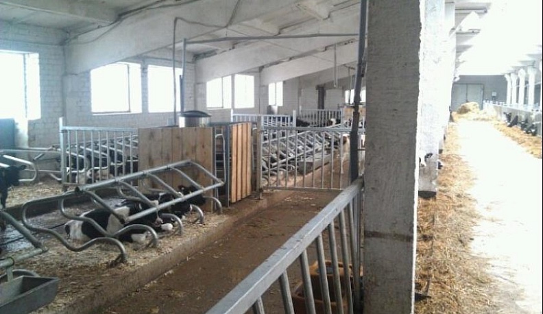 Следователи проверяют Агрофирму КАДВИ из-за долга по зарплате в 10 миллионов рублей