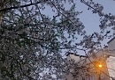 Температура воздуха в Калуге поднимется почти до +30°С