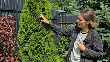 Развить свое дело по выращиванию саженцев калужанке помог соцконтракт
