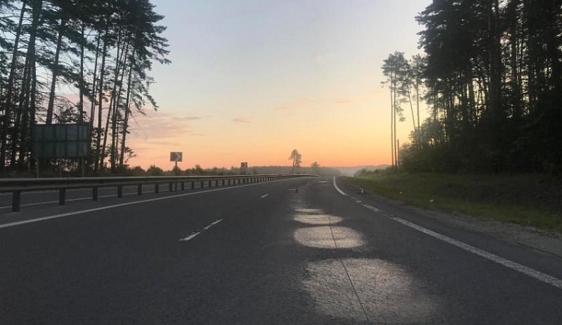 Под Калугой иномарка насмерть сбила пешехода 