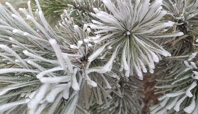 В Калуге ожидается сильный мороз и гололедица