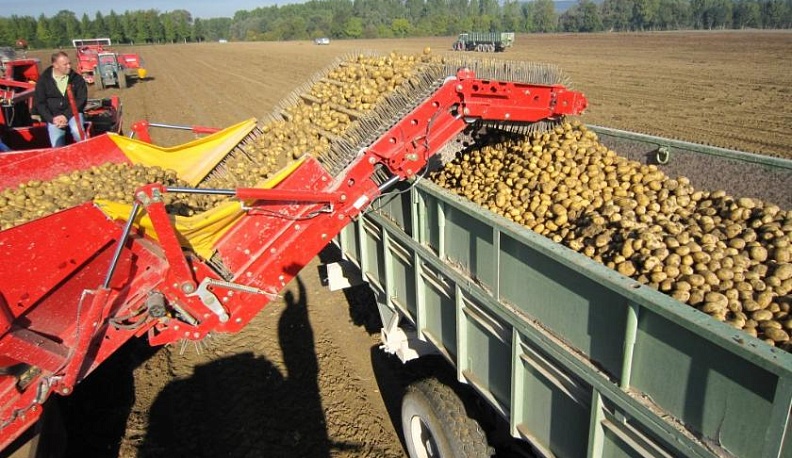 Аграрии подводят итоги страды