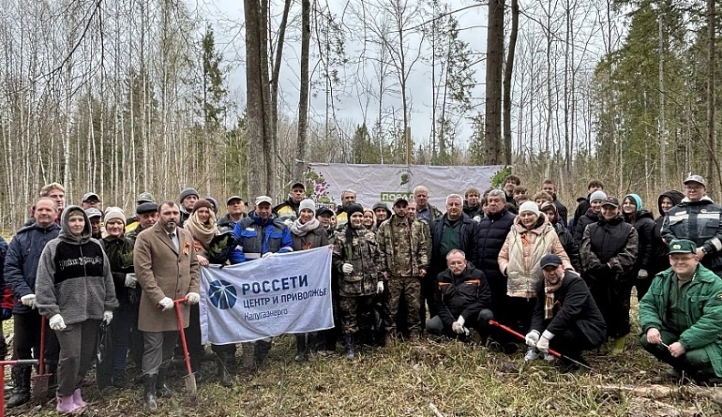В Мещовском лесничестве высадили 3,5 тысячи деревьев