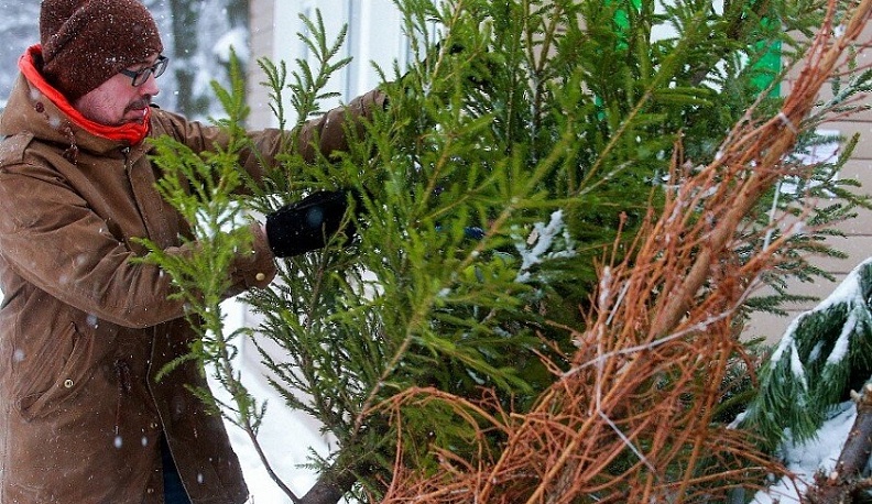 В Обнинске открылся дополнительный пункт приема новогодних елок