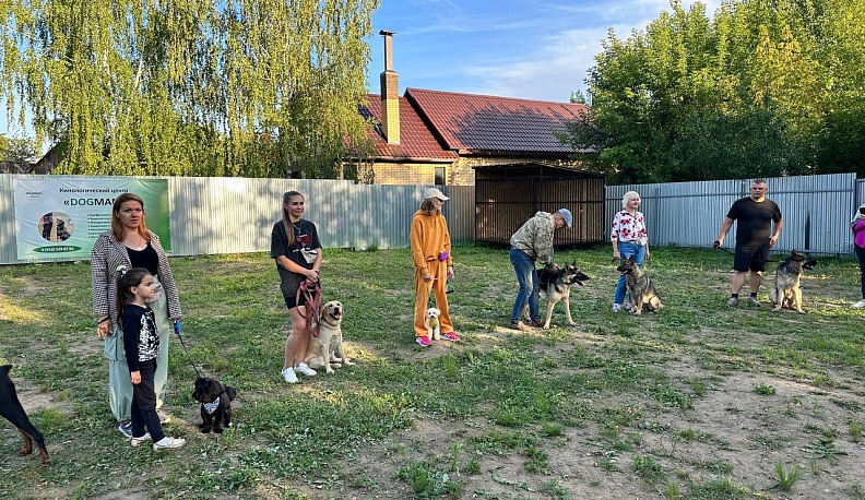 В Людинове прошли «Весёлые старты» для собак