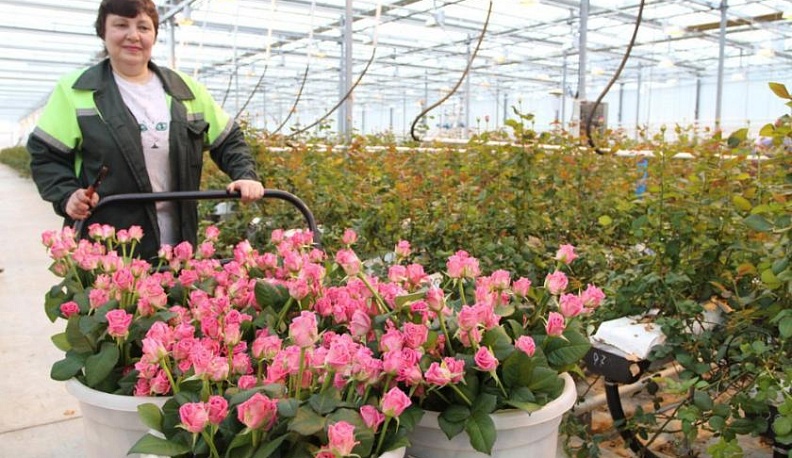 Создатели красоты