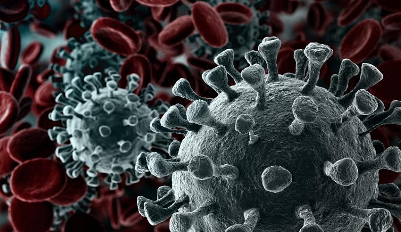 Первый заболевший коронавирусом в Калуге прошел лечение и выписан из больницы