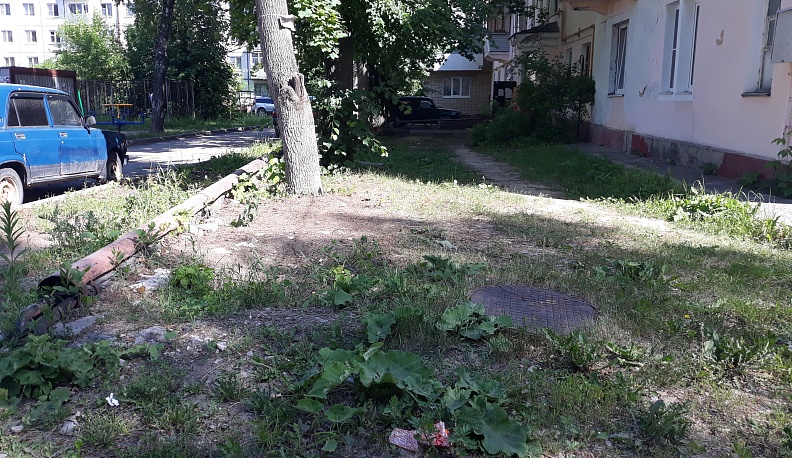 Общероссийский народный фронт за последний месяц ликвидировал 15 стихийных свалок