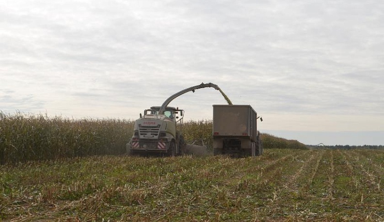 По 12 часов за штурвалом… 