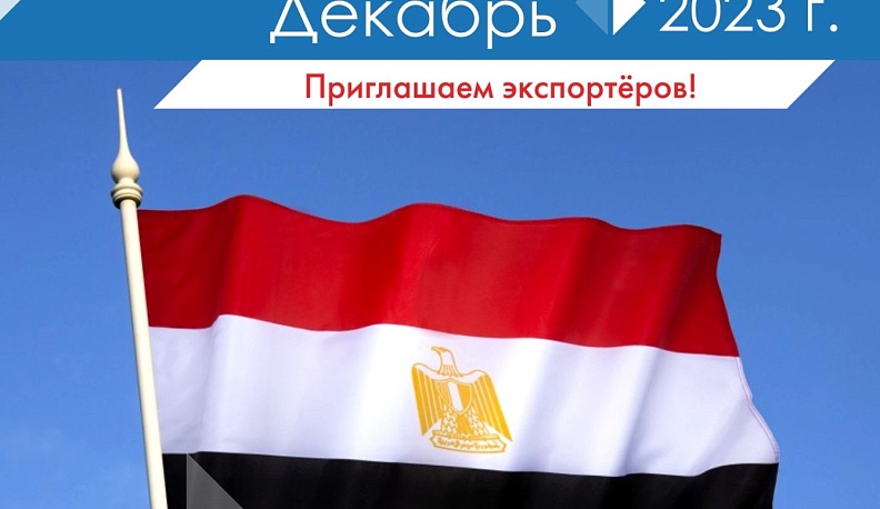 Калужских предпринимателей приглашают принять участие в бизнес-миссии в Египте