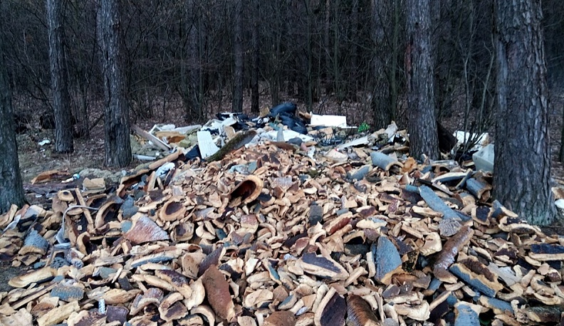 «У нас нет запасной планеты»