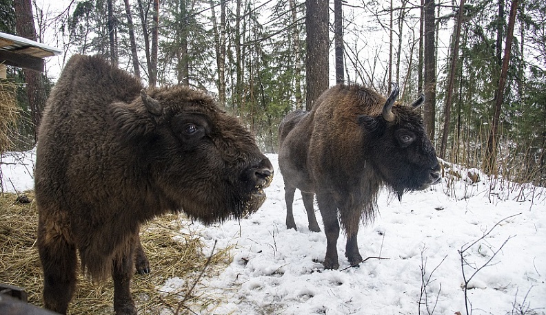В Калужской области в национальном парке «Угра» создают Центр научного туризма